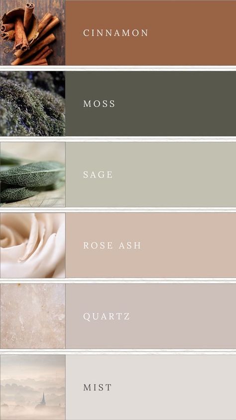 Earthy Wedding Pallet, Muted Earth Tones Colour Palettes, Muted Earth Tone Color Palette Wedding, Earthly Colour Palette, Natural Colours Palette, Water Tones Colour Palettes, Earth Colour Palette Nature, Moss Green Bedroom Colour Palettes, Apartment Colour Palettes