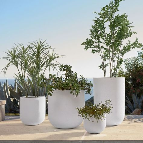 Made from an easy-to-move lightweight composite, our Radius Planters are a great addition to your home. White Planter Pots, Planter Liners, Tub Deck, Garden Tattoos, Outdoor Designs, Garden Drawing, Backyard Remodel, Indoor Outdoor Planter, Outdoor Planter