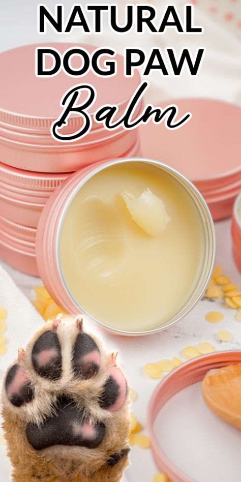 The Best Natural Dog Paw Balm Diy Dog Balm For Paws, How To Make Dog Paw Balm, Dog Paw Pad Moisturizer, Homemade Dog Paw Balm, Dog Paw Salve Diy, Dog Paw Balm Diy, Dog Paw Balm Recipe, Paw Balm For Dogs Diy, Diy Paw Balm For Dogs