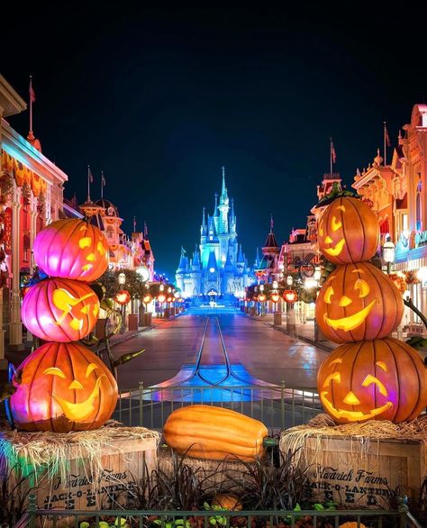 TXDZNY | One of the most magical Fall/Halloween views in WDW!!! 🏰🐭🍂💜🍁🌌🎃👻💙👻🎃🌌🍁💜🍂🐭🏰 📷: @juddhelms #disney #disneyworld #disneyparks #hocuspocus #cali… | Instagram Disneyworld Halloween Aesthetic, Disneyland Aesthetic Halloween, Halloween In Disney World, Disney World Halloween Aesthetic, Disney In Fall, Maeve Fly, Halloween Decorations Disney, Disneyland Halloween Aesthetic, Mnsshp 2024