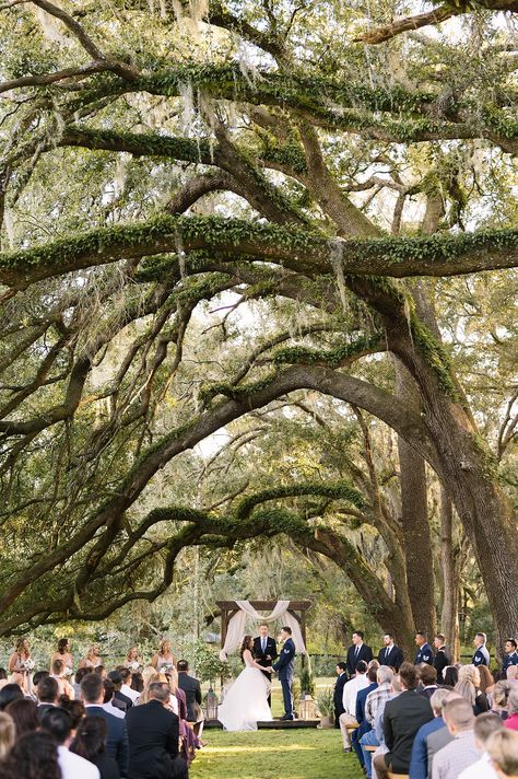 Ocala Fl wedding. Ocala wedding venues. Ocala outdoor wedding. Central florida wedding. Mossy oak trees. Ocala wedding photographers. Ocala farm wedding. Mossy Oak Tree Wedding, Aesthetic Wedding Venues Forest, Florida Forest Wedding, Outdoor Wedding Florida, Outdoor Florida Wedding, Central Florida Wedding Venues, Farm Wedding Aesthetic, Everglades Wedding, Mossy Wedding