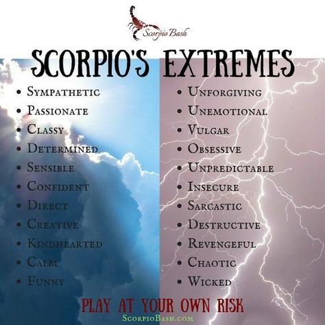 Zodiac Quotes Scorpio, Astrology Scorpio, Scorpio Traits, Scorpio Zodiac Sign, Scorpio Love, Scorpio Zodiac Facts, Scorpio Quotes, Zodiac Signs Scorpio, Scorpio Horoscope