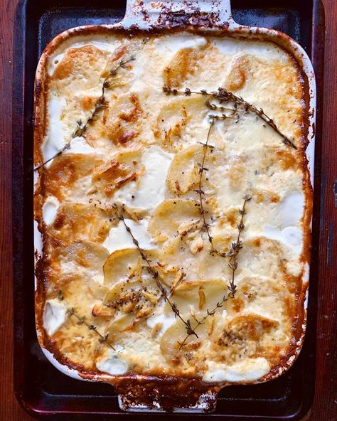 Parmesan Potato Gratin | Diane Morrisey Diane Morrisey Recipes, Pumpkin Roll Bars, Parmesan Potato, Quick Family Meals, Parmesan Potatoes, Potato Gratin, Pumpkin Roll, Sliced Potatoes, Event Food