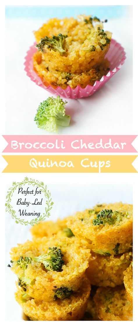 Finger Food For Toddlers, Broccoli Cheddar Quinoa, Quinoa Cups, Food For Toddlers, Toddler Finger Foods, Recipe For Lunch, Quinoa Bites, Baby Led Weaning Recipes, Weaning Recipes