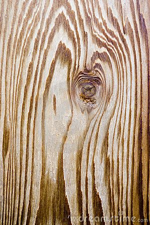 Cedar wood grain by Brad Calkins, via Dreamstime Cedar Board, Cedar Wood Projects, Wood Floor Texture, Cedar Boards, Floor Texture, Wood Grain Texture, Cedar Wood, Wood Patterns, Patterns In Nature