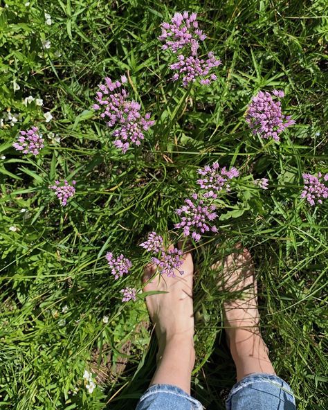 Healing Nature Aesthetic, Nature Connection Aesthetic, Spend Time In Nature Aesthetic, Grounding In Nature Aesthetic, Yoga In Nature Aesthetic, Girl In Meadow Aesthetic, Giant Animals, Book Pins, Yellow Aesthetic