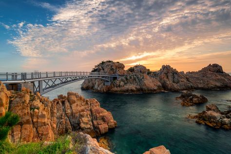 15 Best Things to Do in Ulsan (South Korea) Ulsan South Korea, Korea Life, Whale Watching Cruise, Korea Trip, Teach Abroad, South Korea Travel, Travel Log, Travel Japan, Suwon