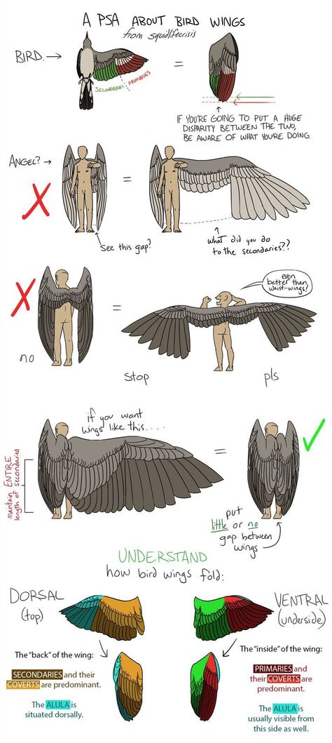 Wings Drawing, Výtvarné Reference, Bird Wings, 캐릭터 드로잉, Guided Drawing, Art Tutorials Drawing, Drawing Base, Drawing Poses, Drawing Reference Poses