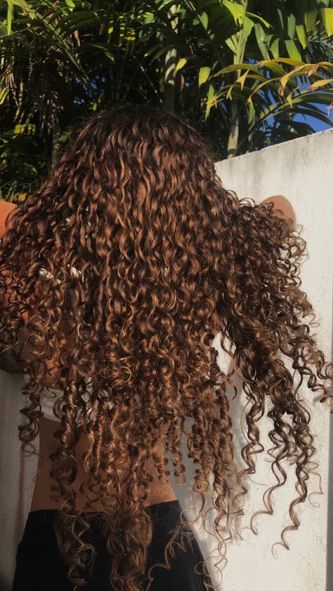 Sun Kissed Curly Hair Highlights, Long Curly Hair Light Brown, Golden Brown Curly Hair, Chocolate Brown Curly Hair, Long Brown Curly Hair, Long Natural Curly Hair, Dyed Curly Hair, Mixed Curly Hair, Honey Brown Hair