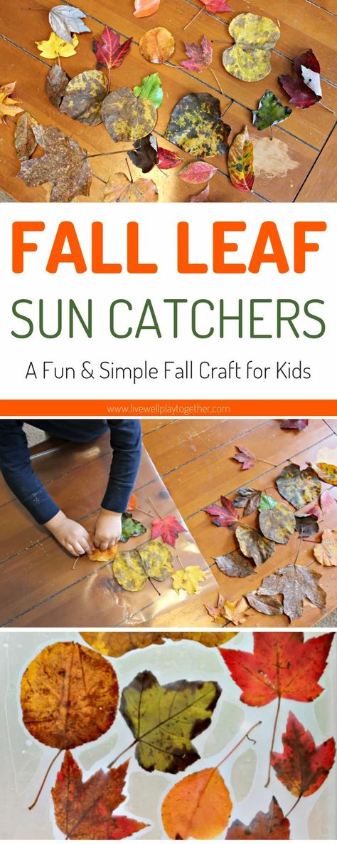 Easy Fall Activities, Fall Activities For Preschoolers, Fall Leaves Activities, Halloween Ideas For Kids, Fall Activity For Kids, Contact Paper Crafts, Kids Crafts Toddlers, Fall Crafts For Toddlers, Autumn Leaves Craft