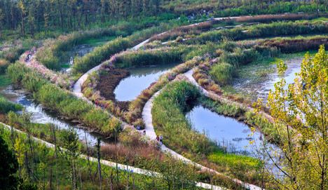 Minghu Wetland Park by Turenscape Retention Pond, Stormwater Management, Wetland Park, Pond Landscaping, Park Pictures, Urban Nature, Landscape Architecture Design, Water Management, Rain Garden