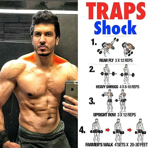 Muscle Building Exercises, Traps Workout, Gym Antrenmanları, Muscle Building Workouts, Weight Training Workouts, Body Workout Plan, Workout Chart, Trening Abs, Muscle Building