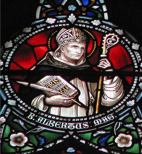 Albertus Magnus, also known as Albert the Great, was one of the  most universal thinkers to appear during the Middle Ages.   Photo by "Lawrence OP" St Albert The Great, Happy Feast Day, World Youth Day, Happy Feast, Saint Dominic, Catholic Crafts, Stained Glass Church, Thomas Aquinas, Church Windows