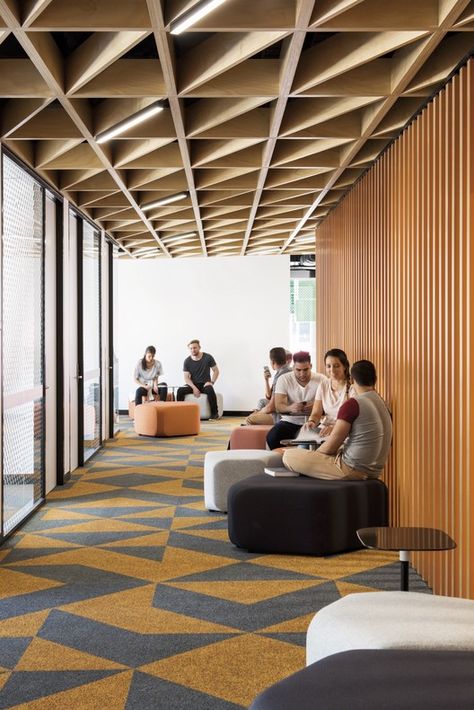 Western Sydney University Parramatta Campus / Woods Bagot | Netfloor USA University Interior Design, Woods Bagot, Campus Design, Office Lobby, Interior Design School, Interior Fit Out, Best Interior Design, Office Interior Design, Commercial Design