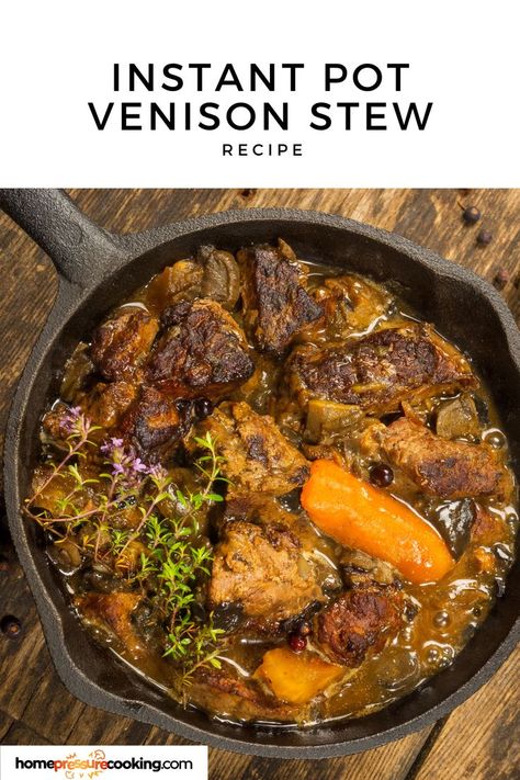 venison stew with vegetables and garnish Venison Stew Instant Pot, Venison Instant Pot Recipes, Ground Venison Stew, Venison Stew Recipes, Venison Bacon, Venison Casserole, Deer Jerky Recipe, Cooking Venison, Red Wine Beef Stew