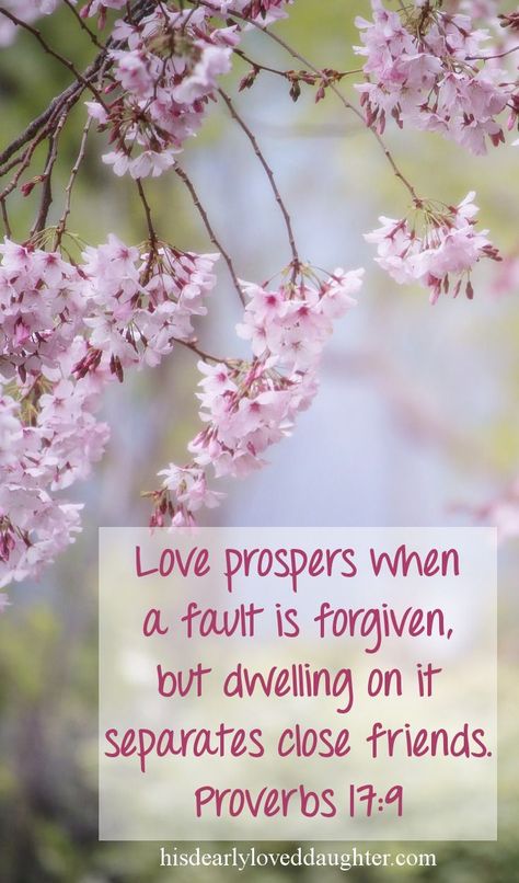 Scripture On Forgiveness, Forgiveness Bible, Proverbs 17 9, Broken Vows, Proverbs Scriptures, Bible Verses About Forgiveness, Bible Proverbs, Proverbs 17, A Course In Miracles