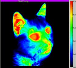 Kinetic Molecular Theory, Heat Energy, Under Your Spell, Thermal Energy, Energy Art, Graphic Poster Art, Animation Tutorial, Thermal Imaging, Science Art