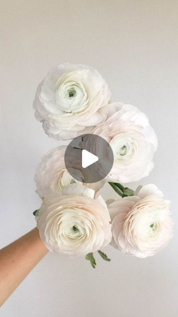 Lizzie | Utah + Destination Wedding Florist on Instagram: "The natural design behind a ranunculus makes it so beautiful, but also unstable. A large bloom head with a narrow, hollow stem allows for the most hydration-- oh, and also breaking, snapping, drooping, etc. By wiring every ranunculus, the risk of breakage is reduced SO MUCH and can now be used in any bouquet, vase, or install without any worry.  There are multiple other methods of wiring ranunculus that I have seen others use and that I use when you get a really wonky stem shape, but these two methods are my most common practice when wiring this beautiful flower🌿  The are only a couple differences in efficacy between the two methods: ✨Method 1 uses a lot less wire, but requires more precision in avoiding poking holes in the stem o Ranunculus Bouquet Wedding, Ranunculus Wedding, Ranunculus Bouquet, Carnation Bouquet, Bouquet Vase, Utah Bride, Natural Design, Utah Weddings, Bride Bouquets