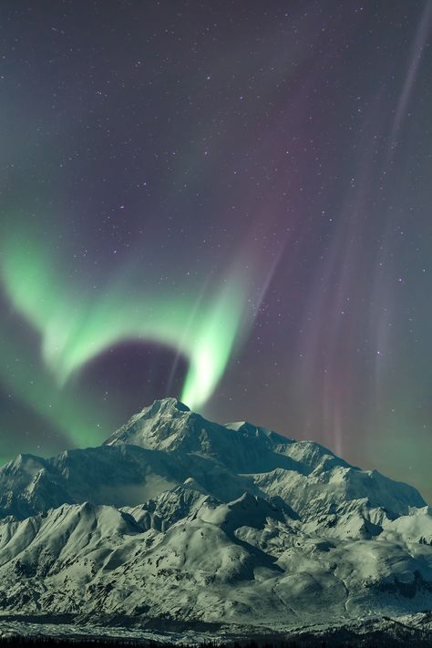 Moonlit Northern lights over Denali in Alaska. [OC] [3696x5545] Click the link for this photo in Original Resolution. If you have Twitter follow twitter.com/lifeporn5 for more cool photos. Thank you author: http://bit.ly/37Bp3jW Broadcasted to you on Pinterest by pinterest.com/sasha_limm Have The Nice Life! Alaska Landscape Photography, Northern Lights In Alaska, Life In Alaska, Alaska Lights, Northern Lights Alaska, Alaska Denali, Alaska Landscape, Alaska Life, Alaska Nature