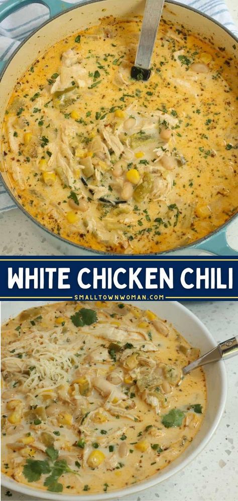 Give this family dinner idea a try! This chicken chili recipe with white beans is the BEST. Creamy with the perfect blend of spices, this easy comfort food in a bowl is wholesome and will warm you up from the inside out! Creamy White Bean Chicken Chili, Chicken Chili Recipes, Easy White Chicken Chili, Creamy White Chicken Chili, White Chili Chicken Recipe, White Chili, Rotel Tomatoes, Chicken Chili Recipe, White Chicken Chili