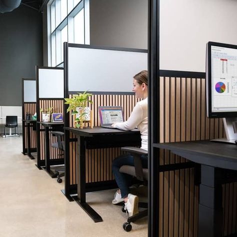 Grove Modular Wall System- Wood & Acrylic Wall - On Sale - Bed Bath & Beyond - 40033368 Modern Office Partitions, Office Partitions, Productive Work, Cubicle Walls, Office Partition, Modular Walls, Collaboration Space, Wall Bed, Wood Acrylic