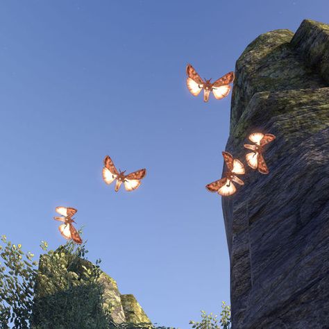 Moth Swarm, Elder Scrolls, Moth, Celestial Bodies