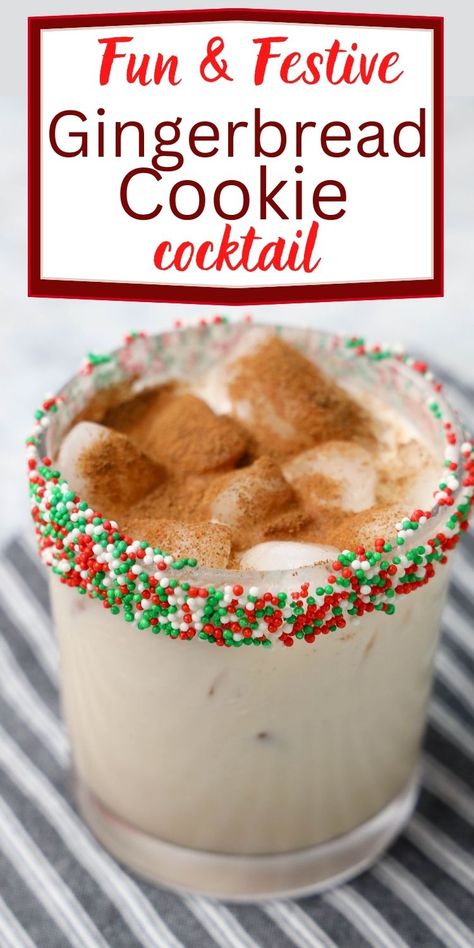 Fun Christmas Cocktails, Baileys Recipes Drinks, Fun Holiday Cocktails, Baileys Cocktails, Classic Eggnog, Christmas Drinks Alcohol Recipes, Gingerbread Syrup, Baileys Recipes, Creamy Cocktails