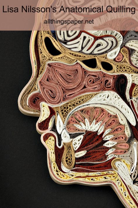 This densely quilled head by paper artist Lisa Nilsson is included in a profile about her mulberry paper Tissue Series. #quilling #paperquilling Travis Bedel, High School Art Lessons, High School Art Projects, Art Quilling, Wallpaper Cantik, Quilled Paper Art, Human Anatomy Art, Diy Papier, Paper Quilling Designs