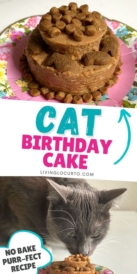 Cat Desserts For Cats, Homemade Cat Birthday Cake, Cat Cakes For Cats, Birthday Cakes For Cats To Eat, Cat Birthday Cake Recipe, Cat Birthday Treats, Cakes For Cats To Eat, Cat Birthday Cake For Cats Recipe, Birthday For Cat Pets