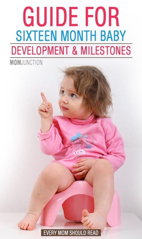 16 Month Old Development, Baby Developmental Milestones, Pull Ups Training Pants, Baby Development Chart, Baby Development Milestones, Baby Development Activities, Potty Training Girls, Toddler Milestones, Potty Training Boys