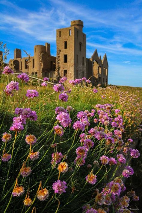 New Slains Castle in the Summer heat, Aberdeenshire, Scotland. Dan Christie Photography. Slains Castle Scotland, Scotland Landscape Photography, Slains Castle, Scotland Summer, Scottish Summer, Highlands Castle, Summer Scenery, Aberdeenshire Scotland, 1920x1200 Wallpaper