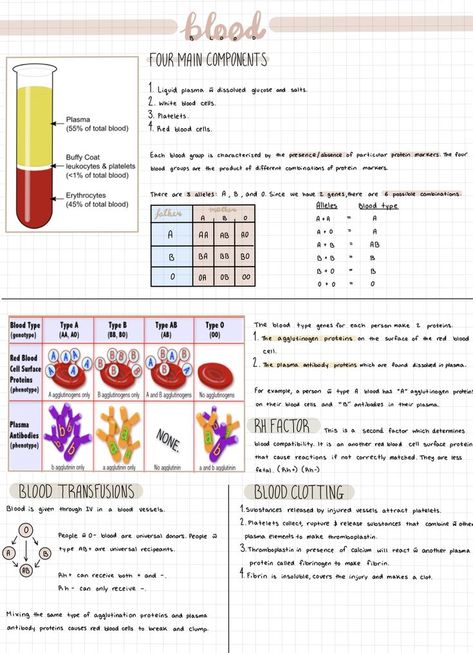 Learn Biology, Nursing School Essential, Nurse Study Notes, Nursing Student Tips, Medical Student Study, Lose Thigh Fat, Nursing School Survival, Study Flashcards, Biology Lessons