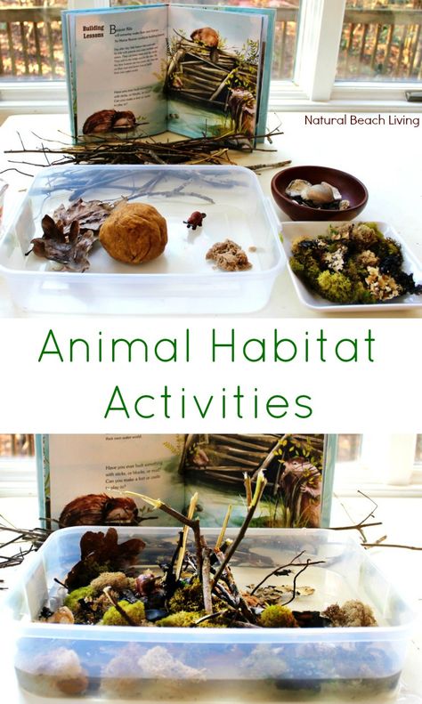 The Perfect Animal Habitat Activities for Preschool, STEM, Building animal habitats, Reggio Emilia Provocations, Sensory bins, Early Childhood Education Forest Worksheet, Reggio Emilia Provocations, Animal Habitat Activities, Habitat Activities, Diarama Ideas, Stem Building, Animal Habitat, Reggio Classroom, Preschool Stem