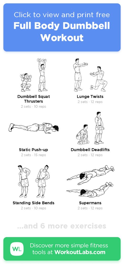 Free Workout: Full Body Dumbbell Workout · WorkoutLabs Fit Teen Exercise Routine, Teenager Workouts Plan, Teen Boy Workout Routine At Home, Boys Workout Exercise, Strength And Conditioning Workouts Kids, Workouts For Teenage Boys, Teen Boy Workout Routine, Middle School Workout, Teen Gym Workout