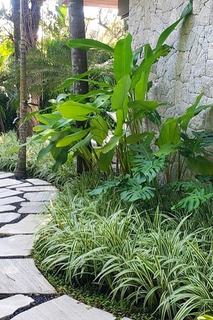 Sustainable Planting Techniques in Modern Landscapes Tropical Foliage Plants, Tropical Pathway, Sustainable Planting, Modern Tropical Garden, Corridor Garden, Planting Techniques, Sophisticated Garden, Landscaping Around Pool, Garden Landscaping Backyard