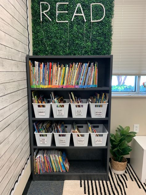 Classroom Office Organization, Wood Classroom Theme, Classroom Library Small Space, Small Classroom Library Ideas, Grass Wall Backdrop Classroom, Classroom Library Set Up Elementary, Science Classroom Decorations Preschool, Grass Wall Classroom Decor, Classroom Decor Lights