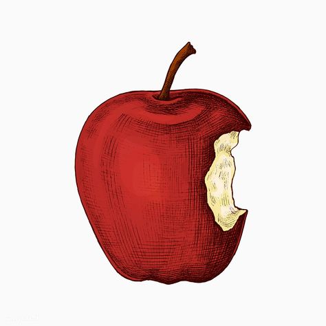 Red ripe bitten apple vector | free image by rawpixel.com / sasi #vector #vectorart #healthyfood #foodanddrink #foodblogger #foodphotography #mealplanning Notion Images, Carrot Drawing, Apple Cartoon, Bitten Apple, Apple Drawing, Food Illust, Pineapple Drawing, Food Paintings, Apple Tattoo