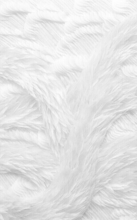 Rip Background, Fur Background, Baby Photography Backdrop, Feather Texture, Monthly Baby Photos, Paper Background Design, Fur Texture, Paper Background Texture, 背景 シンプル