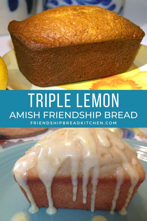 How To Make Amish Friendship Bread Starter, Lemon Friendship Bread, Best Amish Bread Recipe, No Starter Amish Friendship Bread, Lemon Amish Friendship Bread, Amish Friendship Bread Flavors, Friendship Bread Starter Uses, Recipes With Amish Friendship Bread Starter, Amish Friendship Bread Variations With Starter