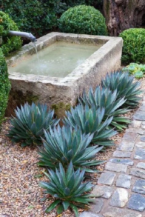 Garden Troughs, Taman Air, Seaside Garden, Fountains Backyard, Modern Garden Design, Outdoor Fountain, Water Features In The Garden, Landscape Designs, Mediterranean Garden