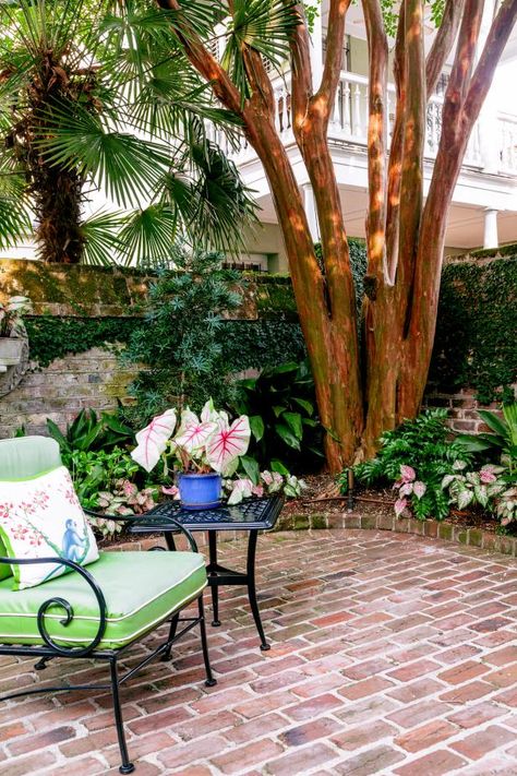 Tour a Fancy Charleston Walled Garden Filled With Color | HGTV Charleston Backyard Landscape, Charleston Courtyards Side Yards, Charleston Courtyard Garden, Charleston Gardens Backyards, Charleston Courtyard Ideas, Charleston Gardens Courtyards, New Orleans Courtyard Ideas, Southern Garden Landscaping, Charleston Landscaping