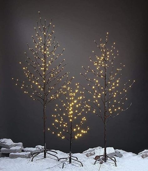 Lightshare Set of 3 Star Light Trees, Including 3 feet, 5 feet, and 6 feet, Warm White, Brown Bra... | Amazon (US) Big Tree Christmas Lights, Lit Christmas Tree In Forest, Winter Wedding Tree Centerpieces, Micro Dot Christmas Tree, Christmas Light For Tree, Est Way To Light Christmas Tree, Filler Branches For Christmas Tree, Minimalist Christmas Tree Lights Only, Small Led Christmas Trees