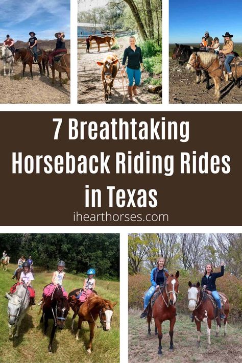 Texas Horse Ranch, Temple Texas, Horseback Riding Trails, Ranch Riding, Horse Trail, Places To Rent, Frisco Texas, Canyon Lake, Waco Texas