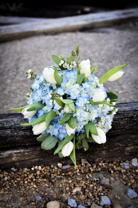 Simple and elegant bridal bouquet with white tulips. White Tulips And Blue Hydrangea, Hydrangea Tulip Bouquet, Small Blue Flower Bouquet, Hydrangea And Tulip Bouquet, Blue Tulips Bouquet, Tulips Bridal Bouquet, Tulip Bouquet Wedding, Tulip Bridal Bouquet, Blue Bouquets