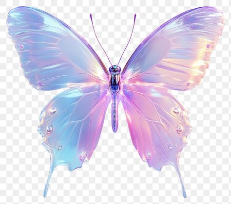 Png Accessories, Holographic Butterfly, Png Butterfly, Pastel Butterfly, Wings Png, Butterfly Png, Desktop Icons, Pastel Butterflies, Butterfly Butterfly