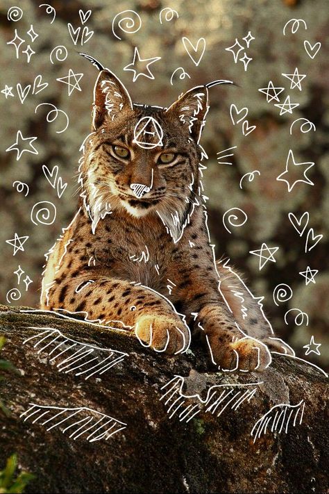 Linx Therian Mask, Lynx Therian Wallpaper, Therian Lynx Mask Ideas, Lynx Therian Pfp, Therians Pfp, Lynx Therian Mask, Lynx Therian, Therian Art, Therian Pfp