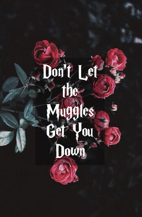 Don't let the Muggles get you down. Dont Let The Muggles Get U Down, Hp Crafts, Harry Potter Professors, Down Quotes, Harry Potter Harry, Harry Potter Background, Babe Quotes, Harry Potter Wallpaper, Harry Potter Quotes