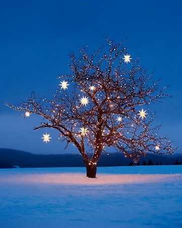 Joulun Aika, Christmas Star Decorations, 카드 디자인, Ready For Christmas, Outdoor Christmas Lights, Kwanzaa, Star Decorations, Noel Christmas, Merry Little Christmas