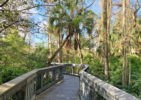 11 Top-Rated Things to Do in Coral Springs, FL | PlanetWare Coral Springs Florida, Spring Centers, Springs Florida, Florida Art, Memorial Garden, Budget Hotel, Nature Center, Community Gardening, Green Space