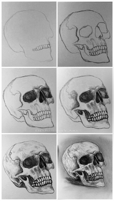 Skeleton Art Step By Step, How To Skull Drawing, Shaded Skull Drawing, Skull Drawing Reference Sketch, Draw A Skull Step By Step, Skull Art Tutorial, How To Draw A Human Skull, Drawing Ideas Skull Sketch, Sketch Of Skull